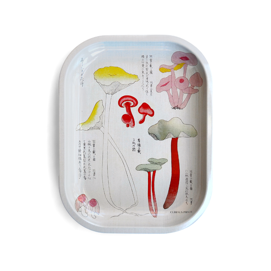 Mushroom Tray White