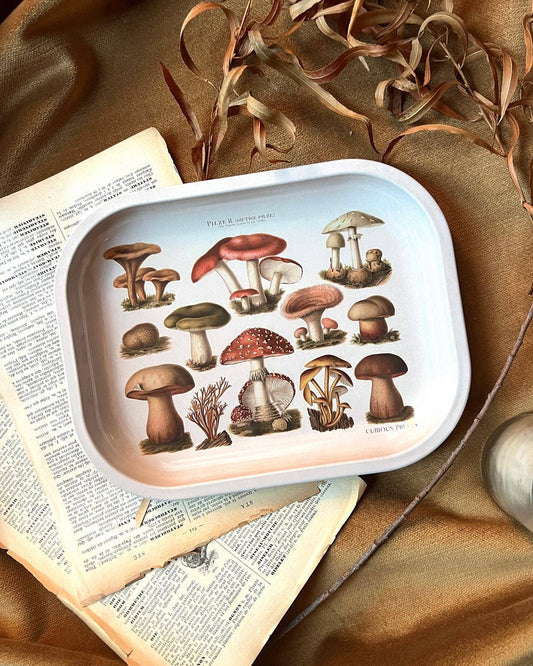Many Mushroom Tray / Vintage Illustration