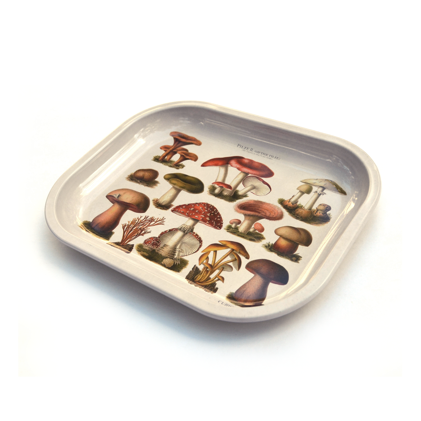 Many Mushroom Tray / Vintage Illustration