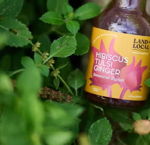Hibiscus Ginger Mixer