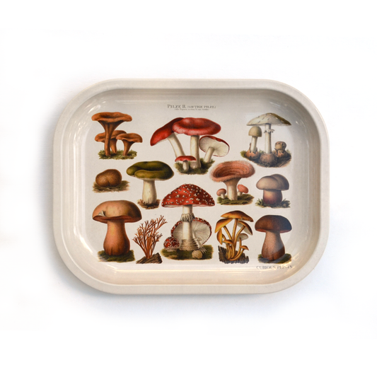 Many Mushroom Tray / Vintage Illustration
